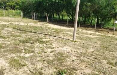 Imagem 4: Fazenda/Sítio/Chácara para venda tem 570000 metros quadrados em Zona...