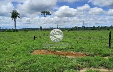 Imagem: A fazenda possui 798000m² de Área e está localizado em Cujubim
