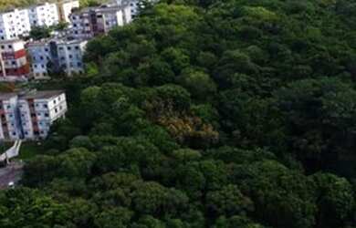 Imagem 4: Apartamento 2/4 com sala ampliada com 88m2 no Atmos Greenville