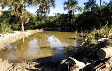 Imagem: A fazenda possui 400m² de Área e está localizado em Centro