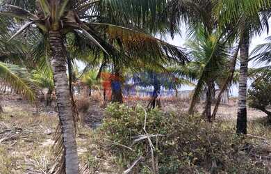Imagem 2: Terreno Panaquatira com linda vista da praia