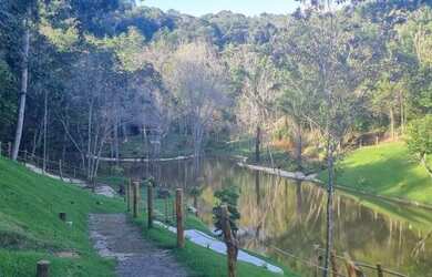Imagem 15: Fazenda à venda, 80000 m² por R$ 1.990.000,00 - Barra Grande - Maraú/BA