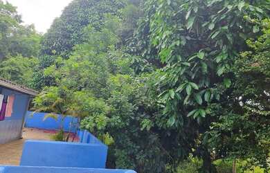 Imagem 16: Sítio. Churrasqueirae27.000m² de Área