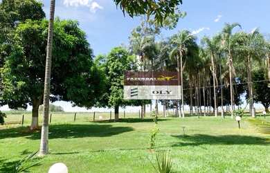 Imagem 12: Sítio Premium no município Inhumas-Goiás. 54 km de Goiânia. 35 Hectares