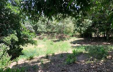 Imagem 13: Chácara 4000m², Frente Rodovia GO-040, Terra Cultura, Cercada, Entre...