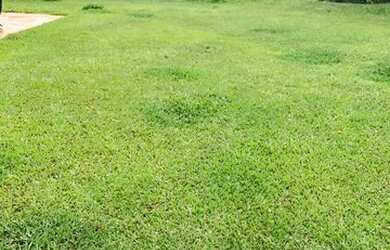 Imagem 1: jt- Vendo terreno excelente opção de investimento