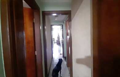 Imagem 7: Apartamento à venda, 2 quartos, 2 vagas, Tijuca - RIO DE JANEIRO/RJ