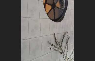 Imagem: A casa e possui 1 Dormitório, 1 Banheiro está localizado em