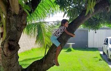 Imagem 2: Casa de festa. Piscina, Churrasqueira, 350m² de Áreae4 Vagas na garagem