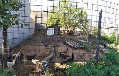 Imagem 2: Terreno. 179m² de Área