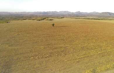 Imagem: A fazenda e está localizado em Niquelândia, GO à venda por