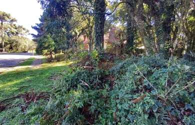 Imagem 6: Terreno à Venda em Canela