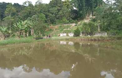 Imagem 4: 1 hectare pisciciultura abandonada 277 mil reais 2 casas