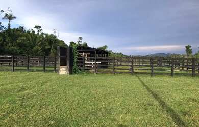 Imagem 7: Vende-se Fazenda - Iracema - RR