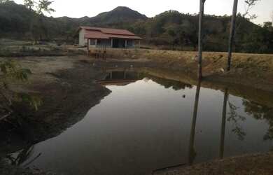 Imagem 3: A M IMOVEIS VENDE EXELEN FAZENDA COM 310.7HECTARES PARA PECUARIA