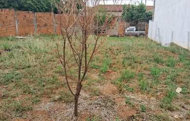 Imagem 2: TERRENO DE ESQUINA REDENCIAL SANTA CRUZ- SJRP