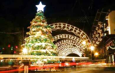 Imagem 6: Area - Bairro Carniel. 3.730m² de Área