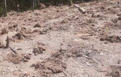 Imagem 8: Vende-se terreno Para sítio em Aruja