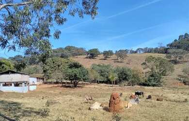 Imagem 16: Vende-se bela fazendinha em Congonhas