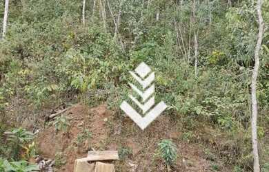 Imagem: Terreno à venda, 2950 m² por R$ 190.000 - Parque Dom João