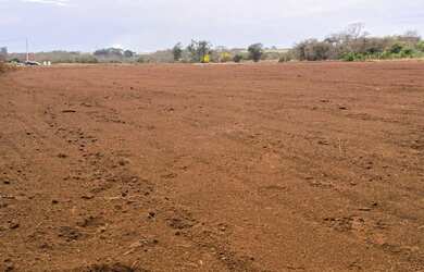 Imagem: Terreno distrito industr Sertãozinho 22210m2