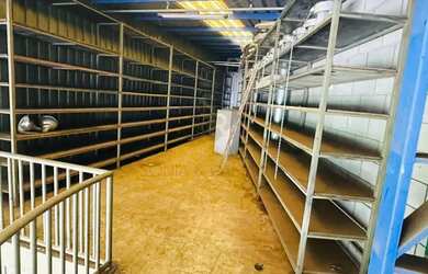 Imagem 7: Imóveis Comerciais Galpão Comercial em Ribeirão Preto