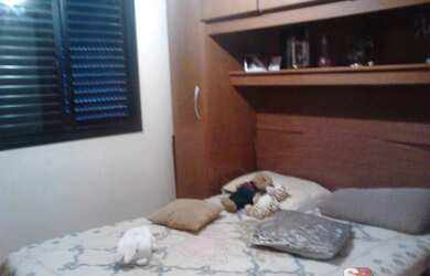 Imagem 4: Apartamento no Lauzane Paulista, próximo ao Shopping Santana Park