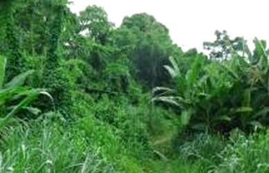 Imagem 5: Área para venda 3413 metros quadrados em Nova Cidade - São Gonçalo...