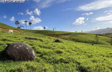 Imagem 3: Terreno à venda, 20000 m² por R$ 150.000 - Fazenda Paraíso - Imaruí/SC