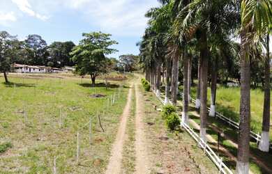 Imagem 15: Lote/Terreno para venda tem 20000 metros quadrados em Zona Rural - Jaboticatubas...