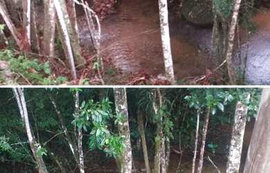 Imagem 4: ANGELINA - Chácara - Angelina