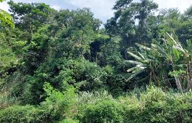 Imagem 16: Terreno, El dourado, Freguesia, Jacarépagua, RJ