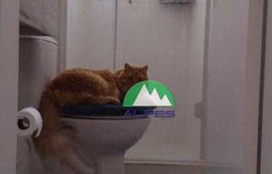 Imagem 8: Apartamento Garden com 2 dormitórios, 55 m² - venda por R$ 190.000,00 ou aluguel por R$ 1