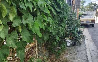 Imagem 15: Terreno à venda, 80 m² por R$ 125.000,00 - Jaraguá - São Paulo/SP