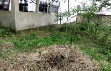 Imagem 1: , Í/. 375m² de Área