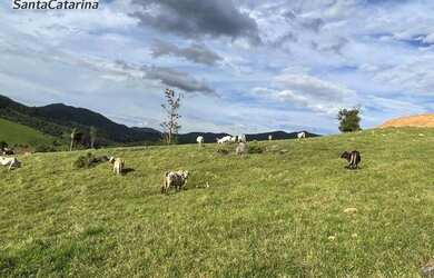 Imagem 8: Terreno à venda, 20000 m² por R$ 150.000 - Fazenda Paraíso - Imaruí/SC