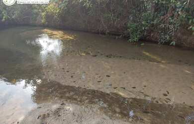 Imagem 3: FAZENDA À VENDA EM SANTA MARIA - TO - 3.789,72 HECTARES (DUPLA APTIDÃO