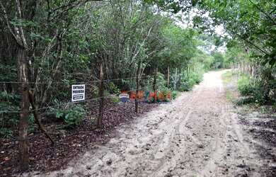 Imagem 2: Terreno na Praia de Pipa, Tibau do Sul/RN