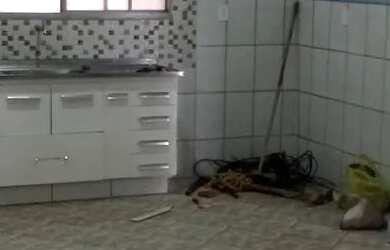 Imagem 3: Alugo Casa. 4 Banheirose5 Dormitórios