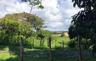 Imagem: O terreno está localizado em Lagoa do Banana, Caucaia à venda