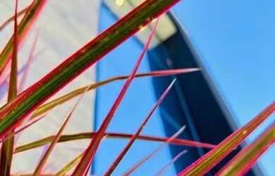 Imagem 15: Casa para Venda em Senador Canedo, Residencial Condomínio Jardim Veneza,...