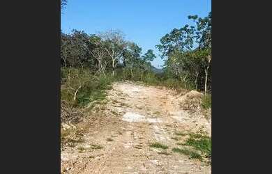 Imagem 5: Chácara Terreno / lote com venda com preço sob consulta