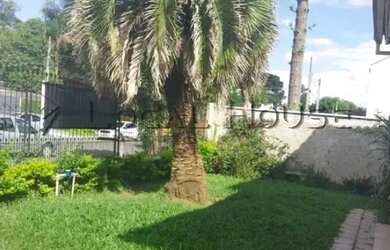 Imagem 7: Terreno ZR3 A Venda Boa Vista