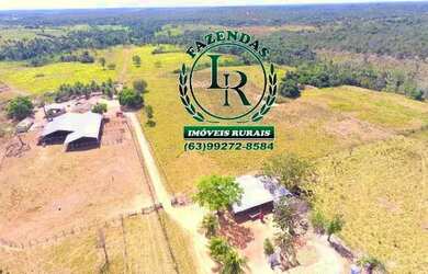 Imagem: A fazenda está localizado em Aparecida do Rio Negro, TO à