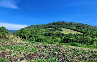 Imagem 6: Sítio / Chácara para Venda em Nova Petrópolis, Fazenda Pirajá