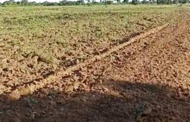 Imagem: A fazenda está localizado em Arinos, MG à venda por R$15.000.000