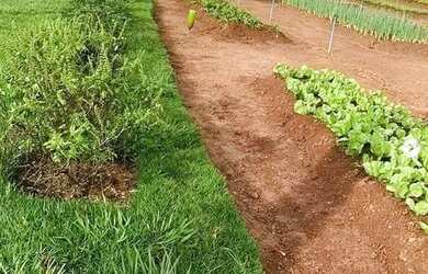 Imagem 10: TERRENO 360m² À VENDA - JARDIM VENEZA - SENADOR CANEDO-GO