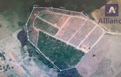 Imagem: A fazenda possui 300m² de Área e está localizado em Morungaba