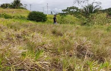 Imagem 10: Oportunidade venda de lote com 1300M² aceita permuta -Simões Filho -BA