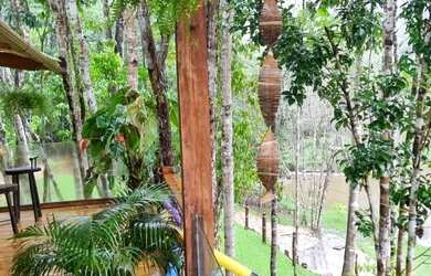 Imagem 7: Fazenda à venda, 80000 m² por R$ 1.990.000,00 - Barra Grande - Maraú/BA